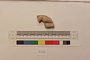 Stucco Fragment by Unknown Artist
