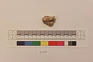 Stucco Fragment by Unknown Artist