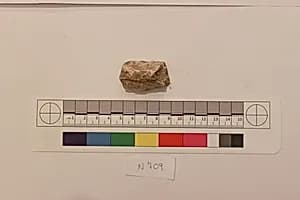 Stucco Fragment by Unknown Artist