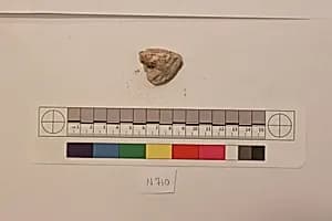 Stucco Fragment by Unknown Artist