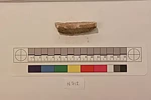 Stucco Fragment by Unknown Artist