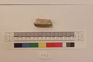 Stucco Fragment by Unknown Artist