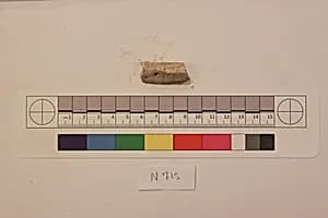 Stucco Fragment by Unknown Artist