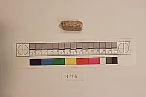 Stucco Fragment by Unknown Artist