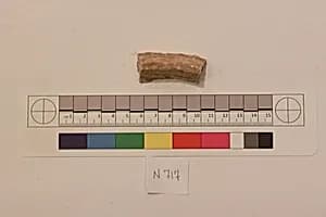 Stucco Fragment by Unknown Artist