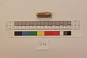 Stucco Fragment by Unknown Artist