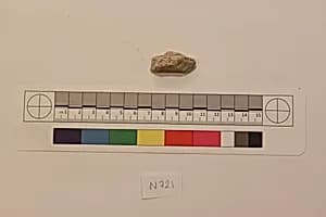 Stucco Fragment by Unknown Artist