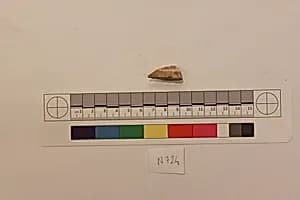Stucco Fragment by Unknown Artist
