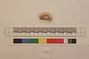 Stucco Fragment by Unknown Artist