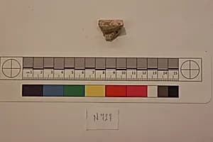 Stucco Fragment by Unknown Artist