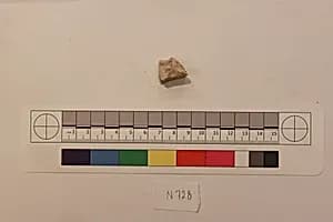 Stucco Fragment by Unknown Artist