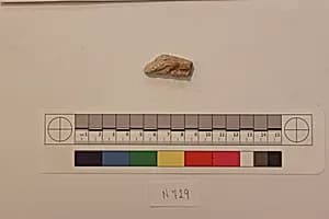 Stucco Fragment by Unknown Artist
