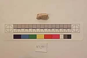 Stucco Fragment by Unknown Artist