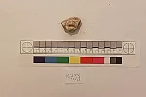 Stucco Fragment by Unknown Artist