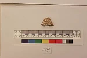 Stucco Fragment by Unknown Artist