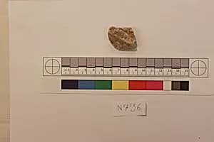 Stucco Fragment by Unknown Artist