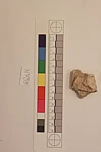 Stucco Fragment by Unknown Artist