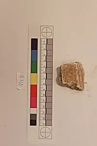 Stucco Fragment by Unknown Artist