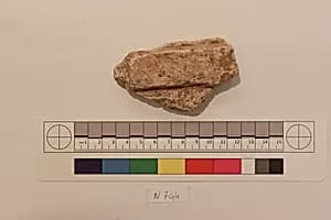 Stucco Fragment by Unknown Artist