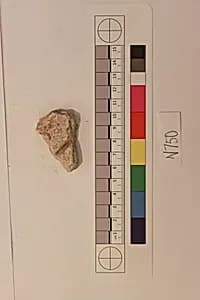 Stucco Fragment by Unknown Artist