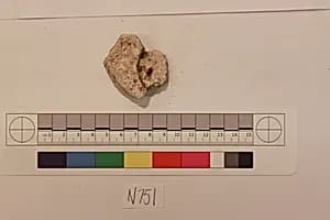 Stucco Fragment by Unknown Artist