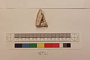 Stucco Fragment by Unknown Artist