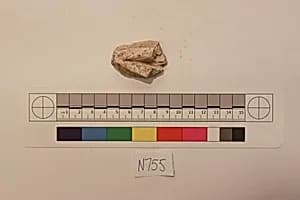 Stucco Fragment by Unknown Artist