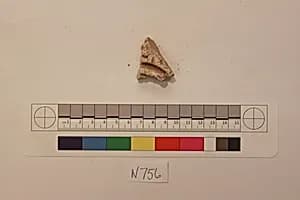Stucco Fragment by Unknown Artist