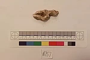 Stucco Fragment by Unknown Artist