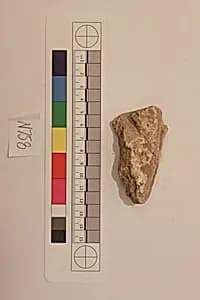 Stucco Fragment by Unknown Artist