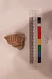 Stucco Fragment by Unknown Artist