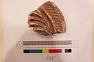 Stucco Fragment by Unknown Artist