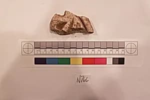 Stucco Fragment by Unknown Artist