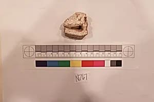 Stucco Fragment by Unknown Artist
