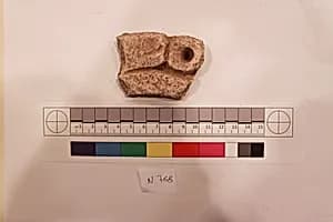 Stucco Fragment by Unknown Artist