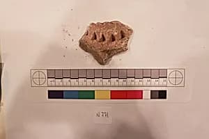 Stucco Fragment by Unknown Artist