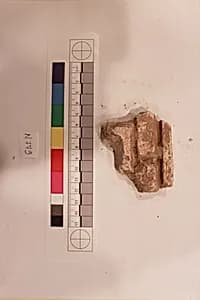 Stucco Fragment by Unknown Artist