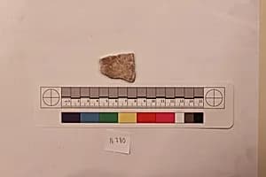 Stucco Fragment by Unknown Artist