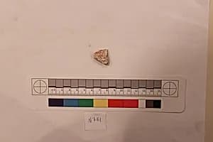 Stucco Fragment by Unknown Artist