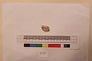 Stucco Fragment by Unknown Artist