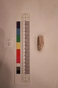Stucco Fragment by Unknown Artist