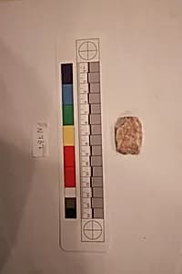 Stucco Fragment by Unknown Artist