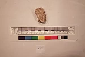 Stucco Fragment by Unknown Artist