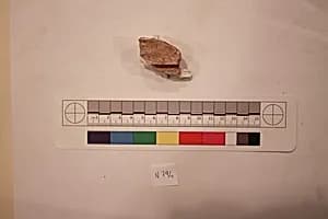 Stucco Fragment by Unknown Artist
