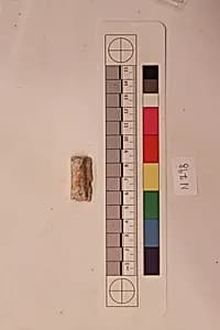 Stucco Fragment by Unknown Artist
