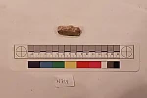 Stucco Fragment by Unknown Artist
