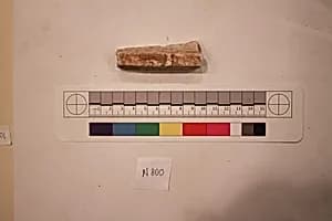 Stucco Fragment by Unknown Artist