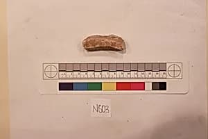 Stucco Fragment by Unknown Artist
