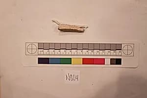 Stucco Fragment by Unknown Artist