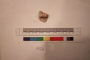 Stucco Fragment by Unknown Artist